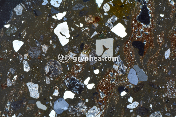 Rhyolite LPA x3,5 - gryphea.com